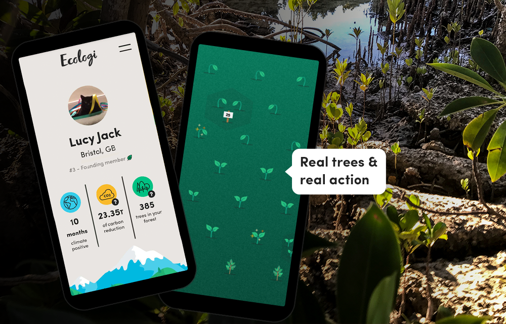 Image displaying Ecologi app