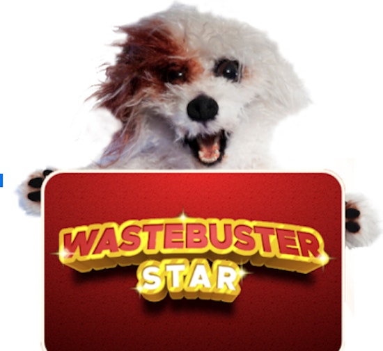 Patch, Wastebusters