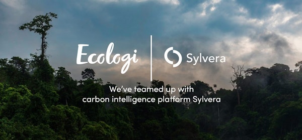 SYBO Games to Plant 200,000 Trees With Partner Ecologi, Coinciding With UN  Climate Change Conference UK 2021 Amid Massive Global Climate Crisis