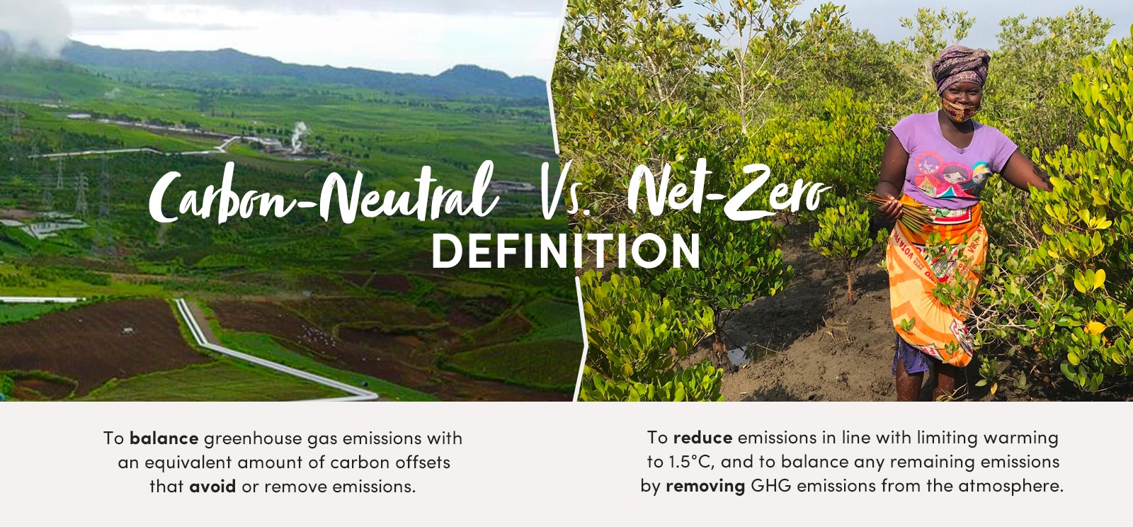 carbon neutral vs net zero definition image