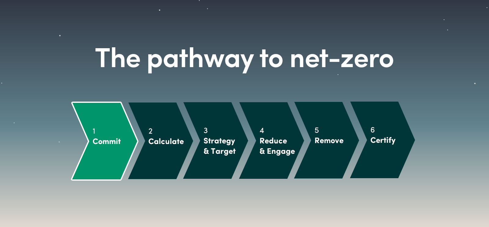 Charting The Path To Net Zero For Businesses