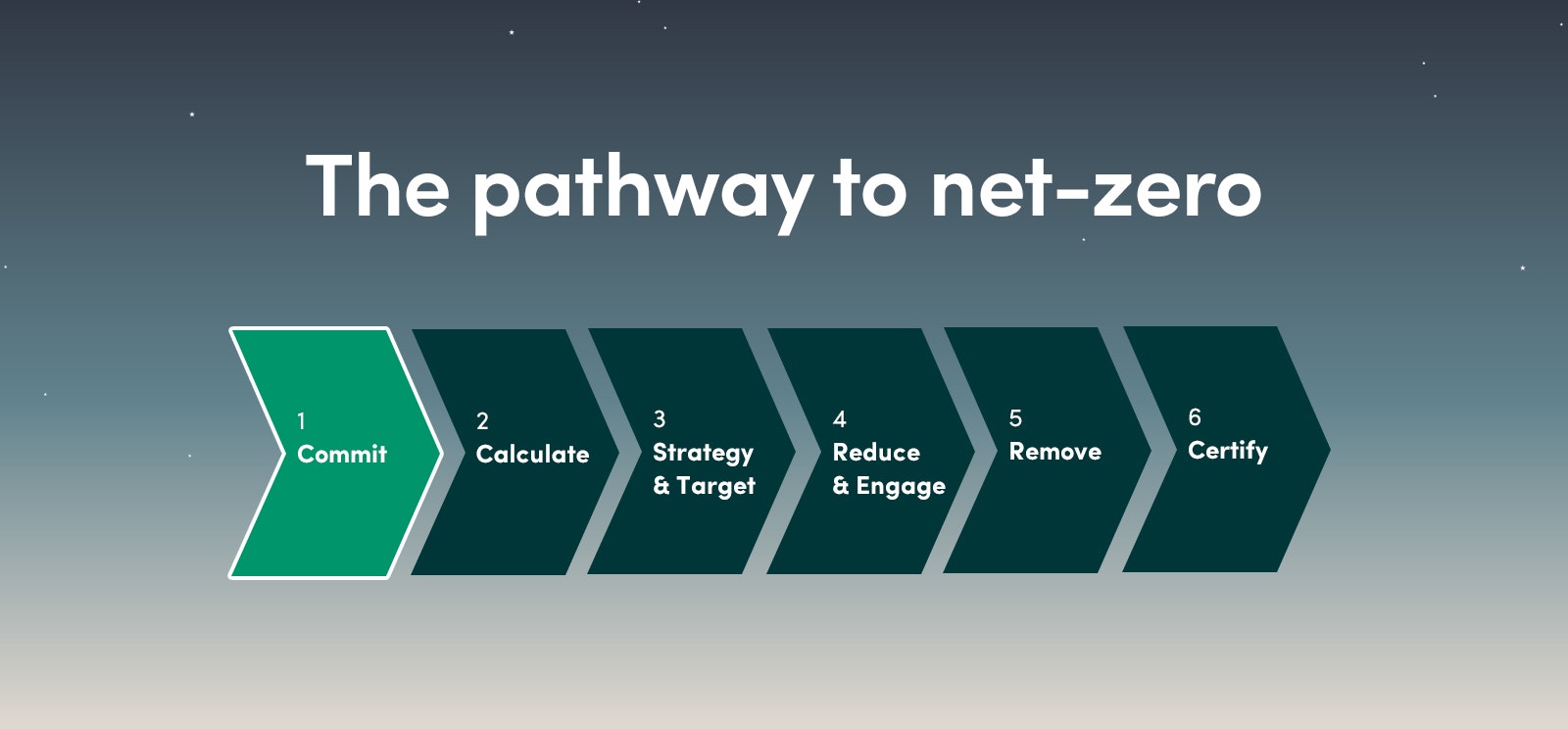 The pathway to net zero image