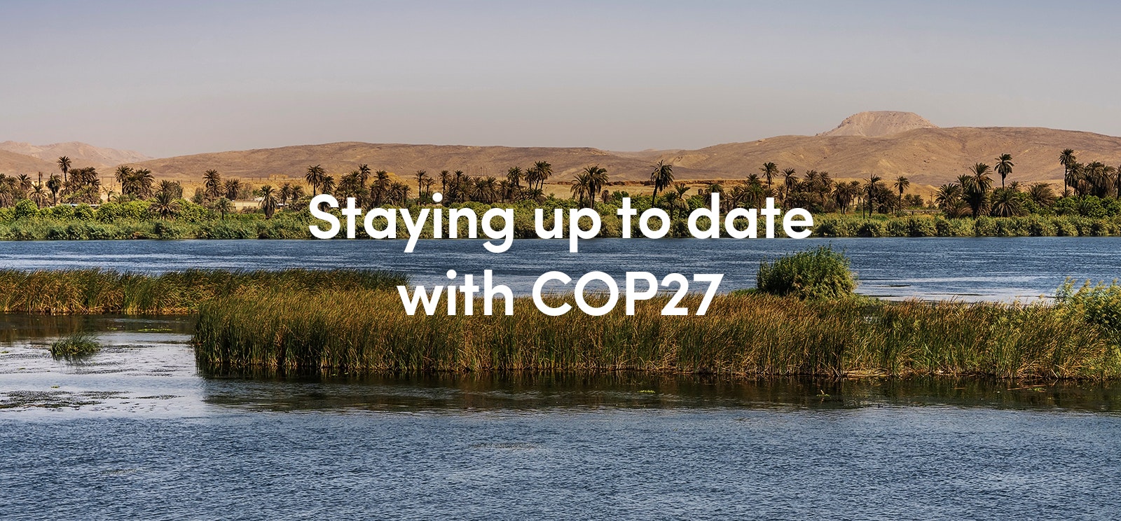 Staying up to date with COP27