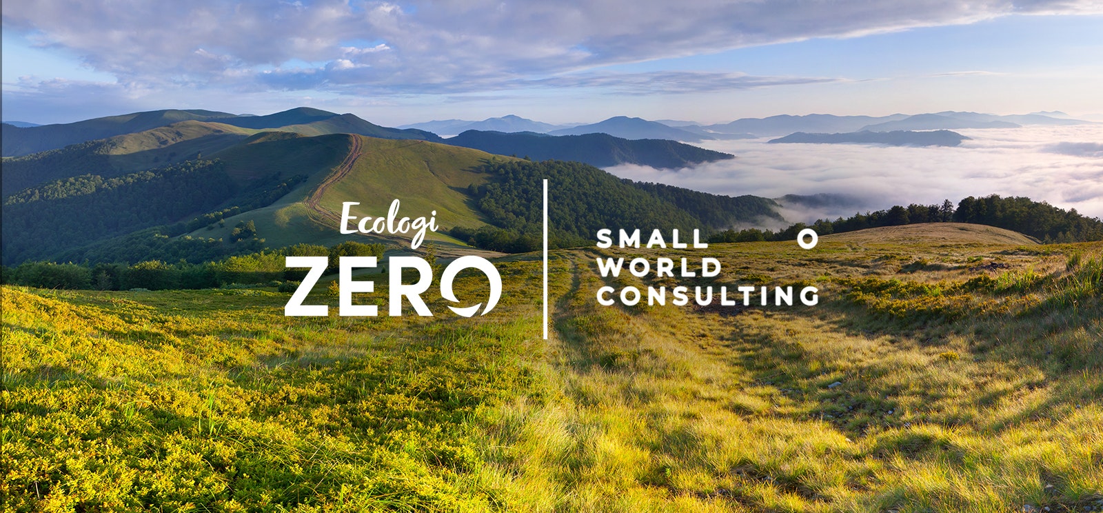 Partnering with Small World Consulting