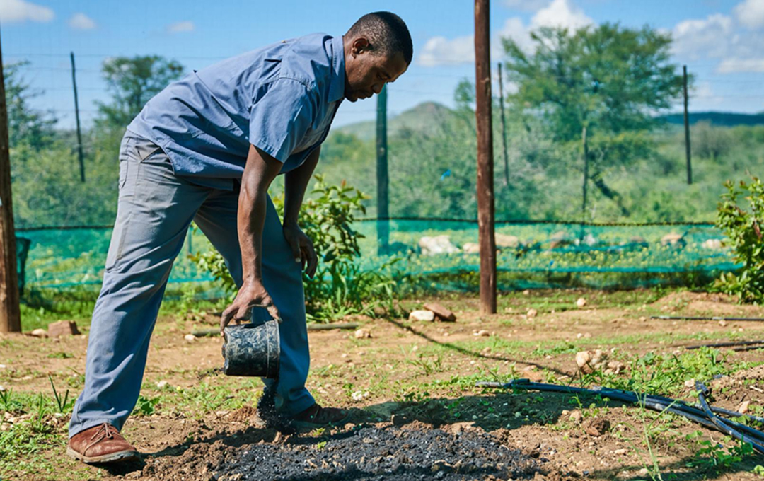 Biochar: Carbon Removal Credits Now On The Impact Shop | Ecologi