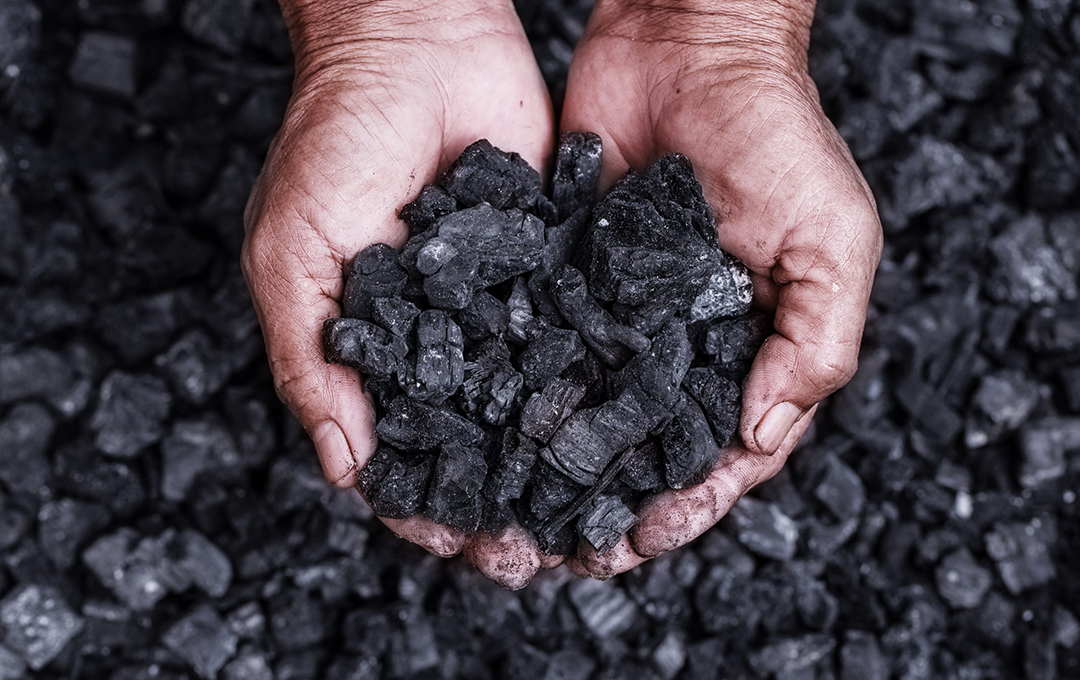 Biochar: Carbon Removal Credits Now On The Impact Shop | Ecologi