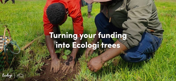 SYBO Games to Plant 200,000 Trees With Partner Ecologi, Coinciding