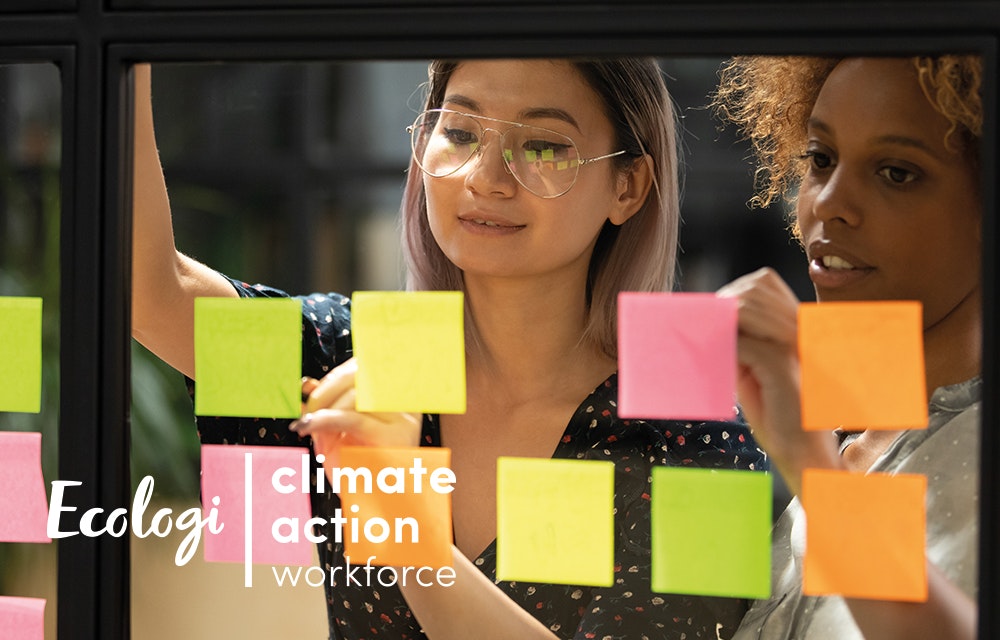 Climate action workforce