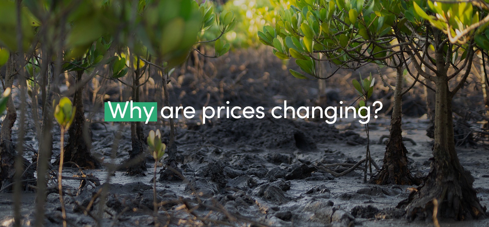 Why are prices changing?