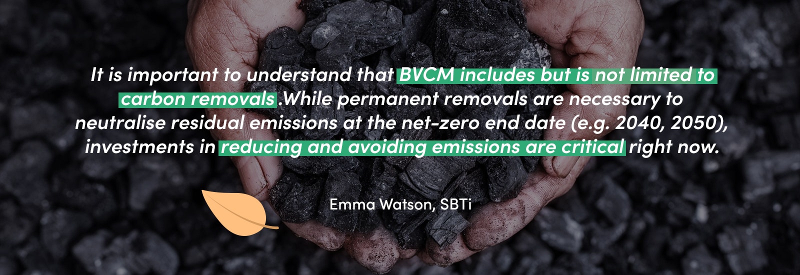 It is important to understand that BVCM includes but is not limited to carbon removals. While permanent removals are necessary to neutralise residual emissions at the net-zero end date (e.g. 2040, 2050), investments in reducing and avoiding emissions are critical right now.