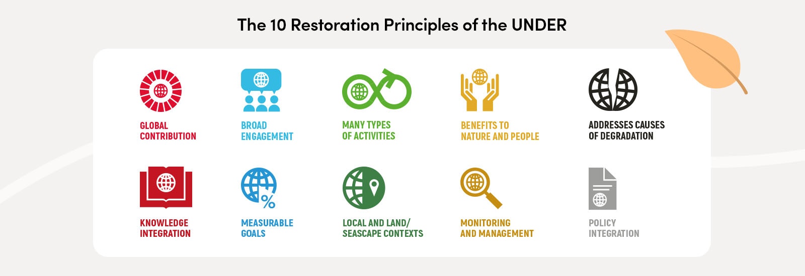 The 10 Restoration Principles of the UNDER