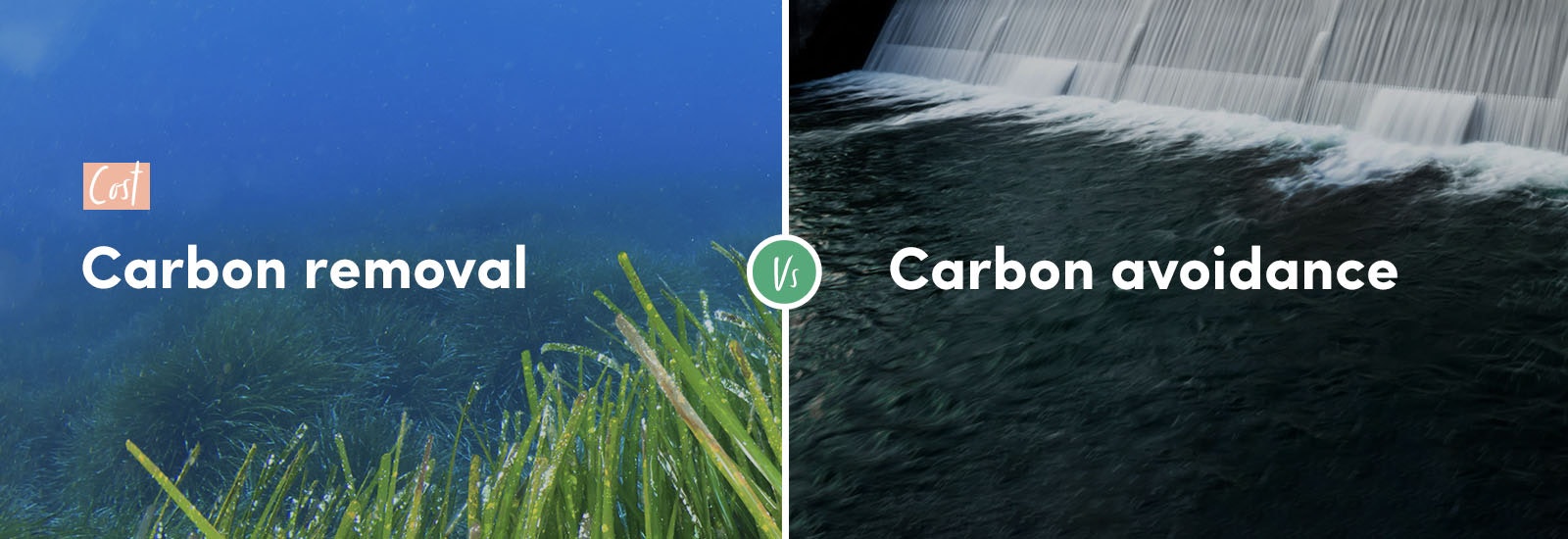 Cost - carbon removal vs. carbon avoidance