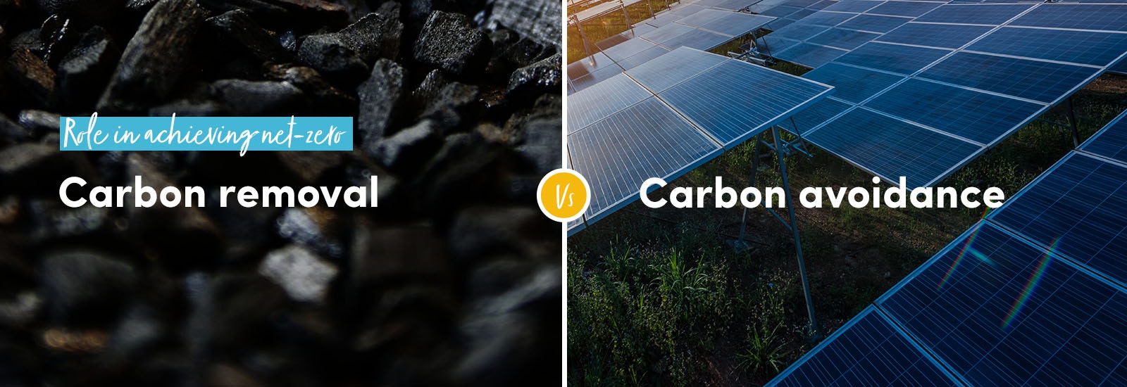 Role in achieving net-zero - carbon removal vs carbon avoidance