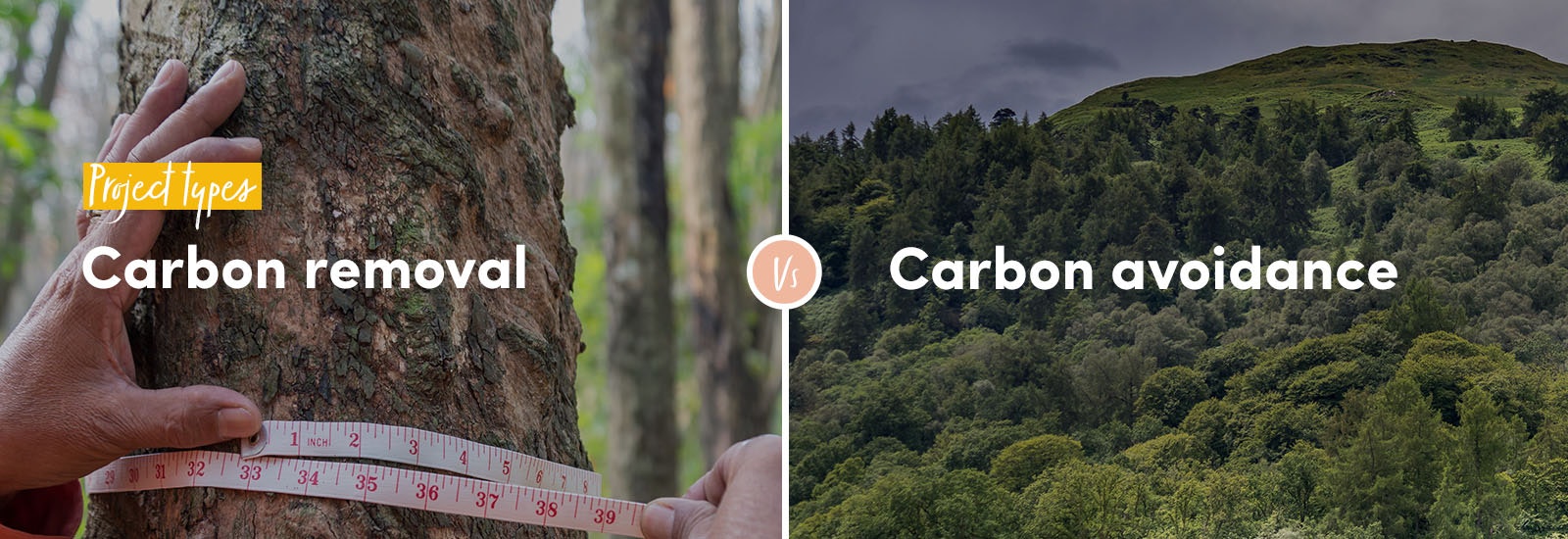 Project types - carbon removal vs carbon avoidance