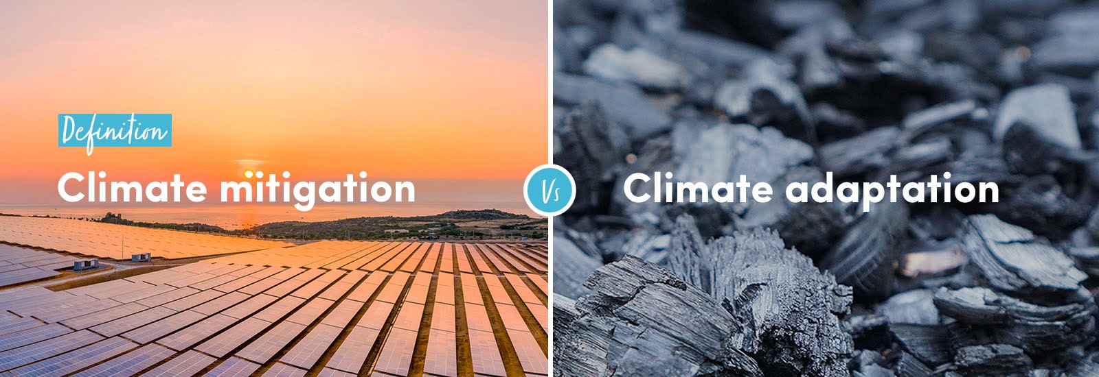 Definition: Climate mitigation vs climate adaptation