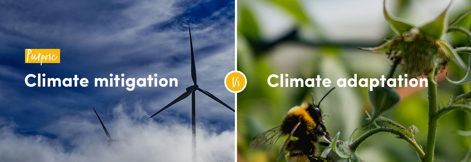 Purpose: Climate mitigation vs Climate adaptation