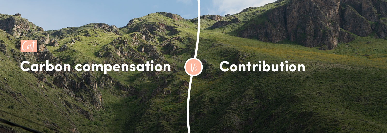 Cost: carbon compensation vs contribution