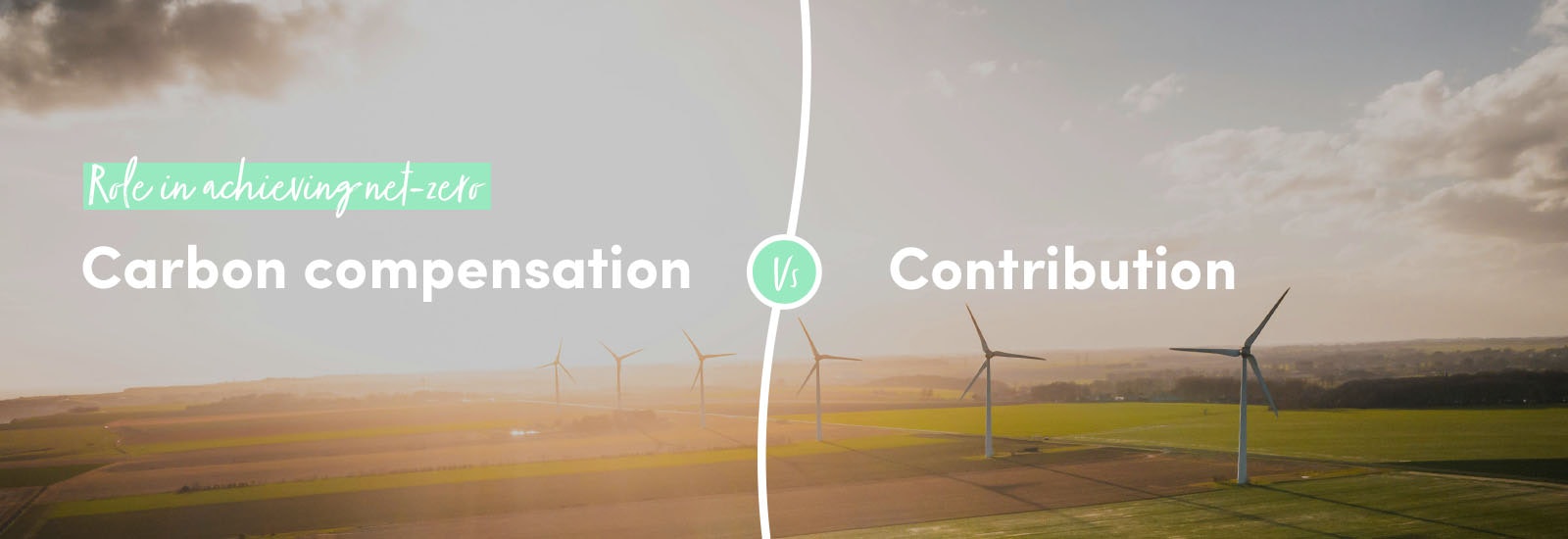 Role in achieving net-zero: carbon compensation vs contribution