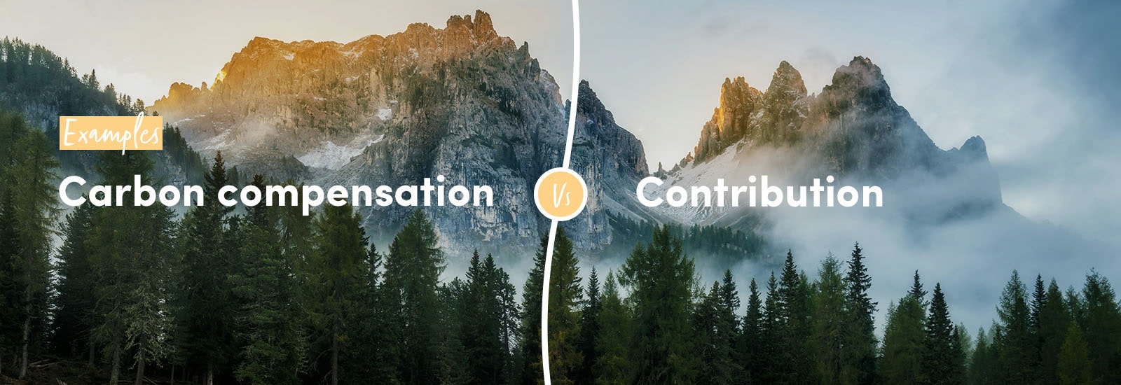 Examples: Carbon compensation vs contribution