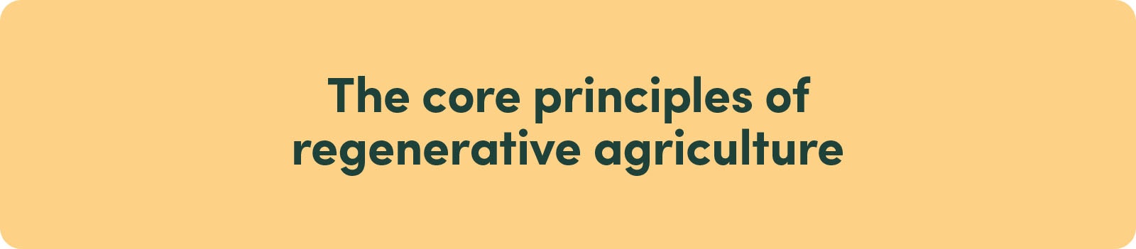 The core principles of regenerative agriculture